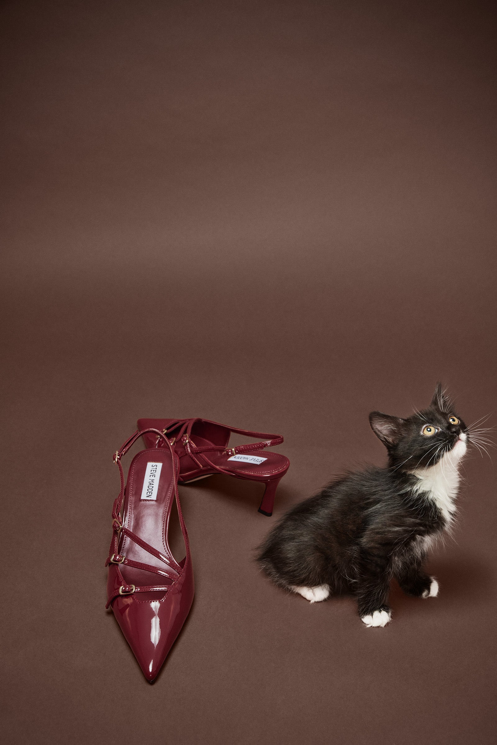 LIANA WINE PATENT - Image 9