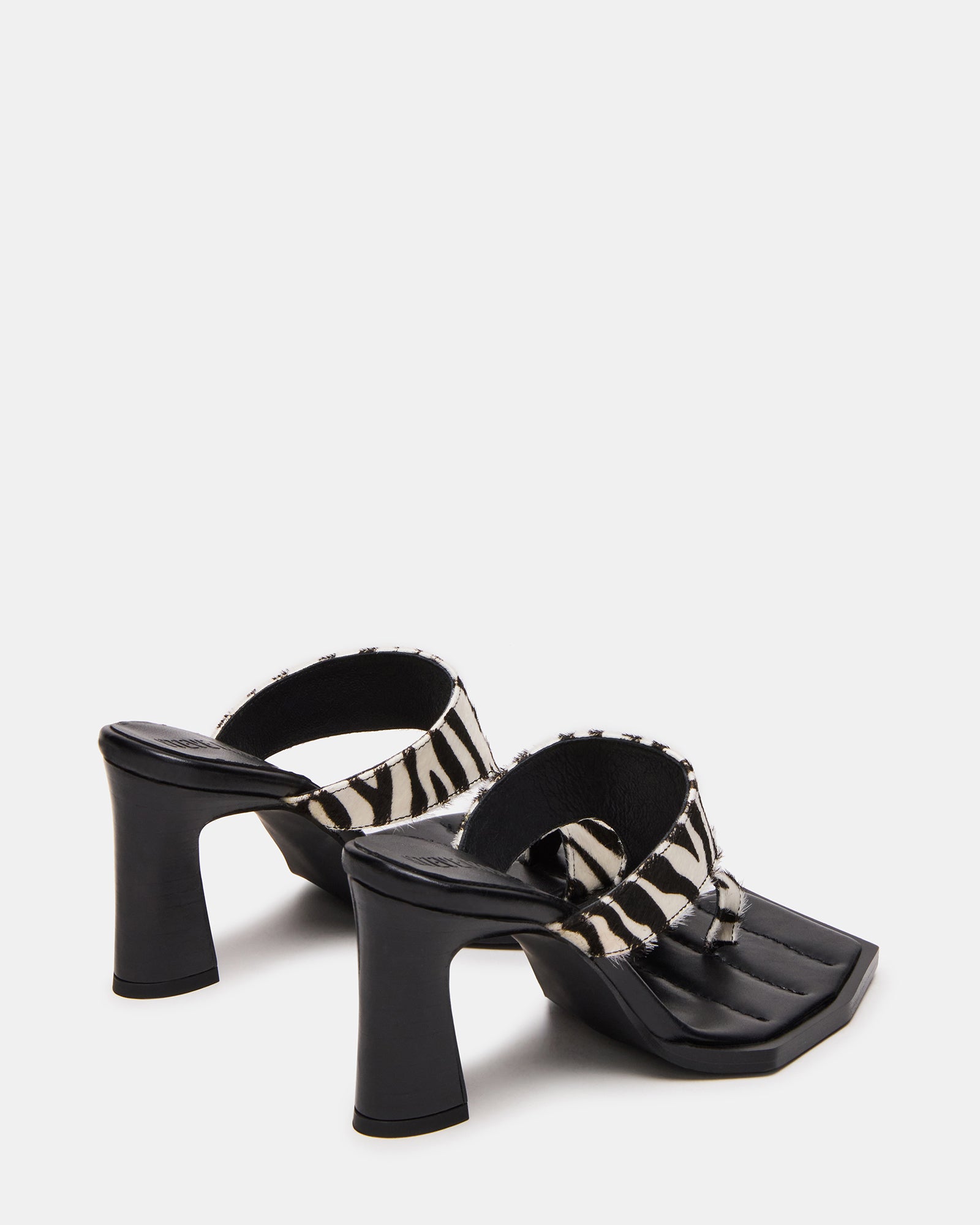 ALAMEDA ZEBRA - Image 5