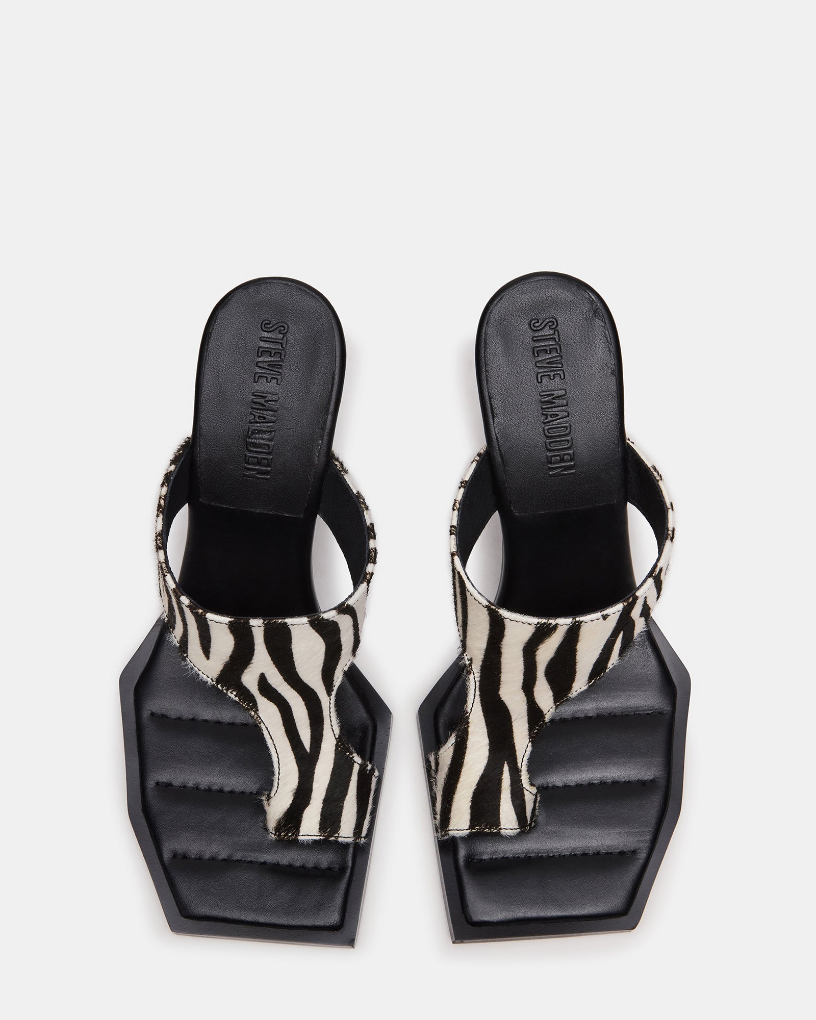 ALAMEDA ZEBRA - Image 4