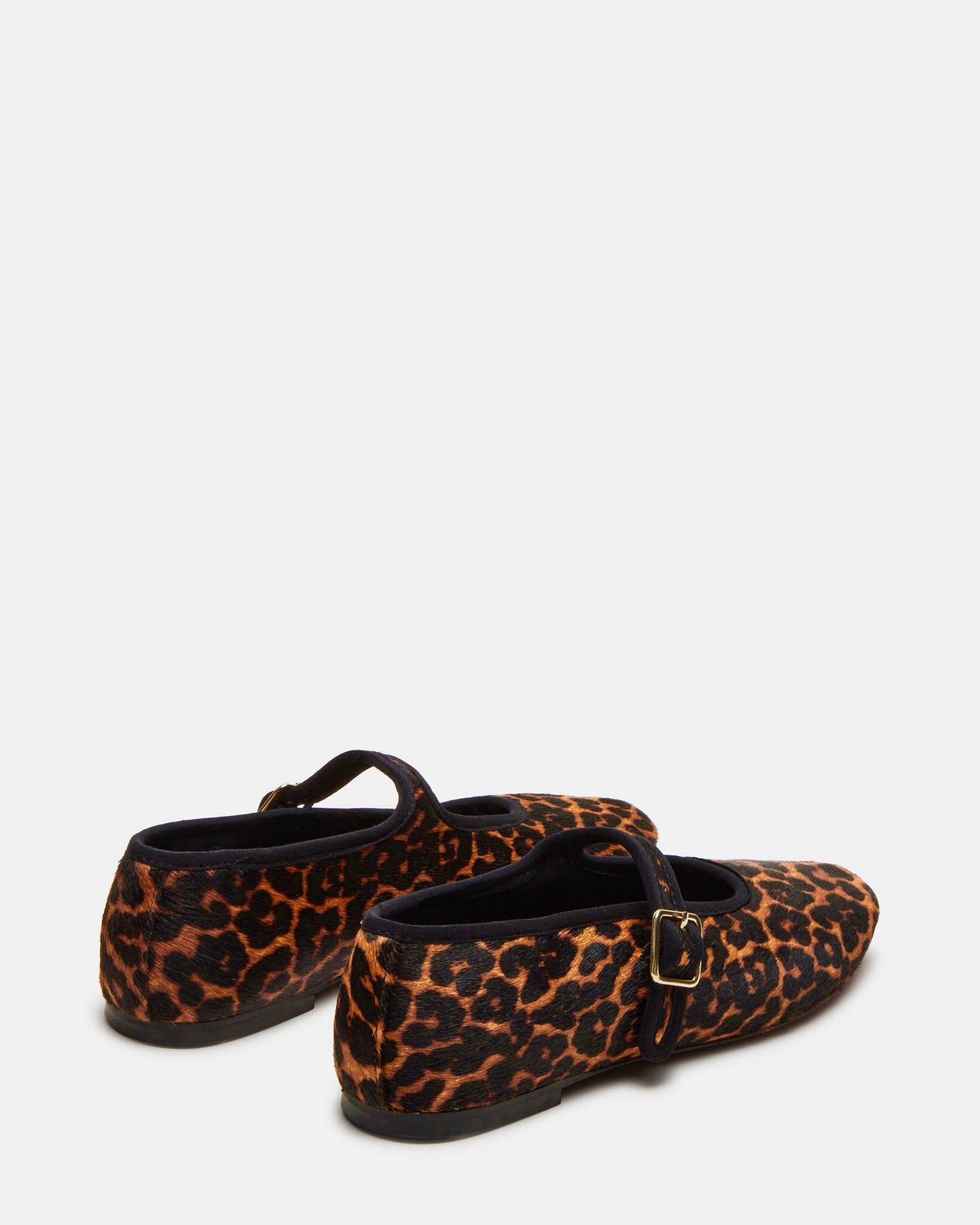 DREAMING LEOPARD - Image 6