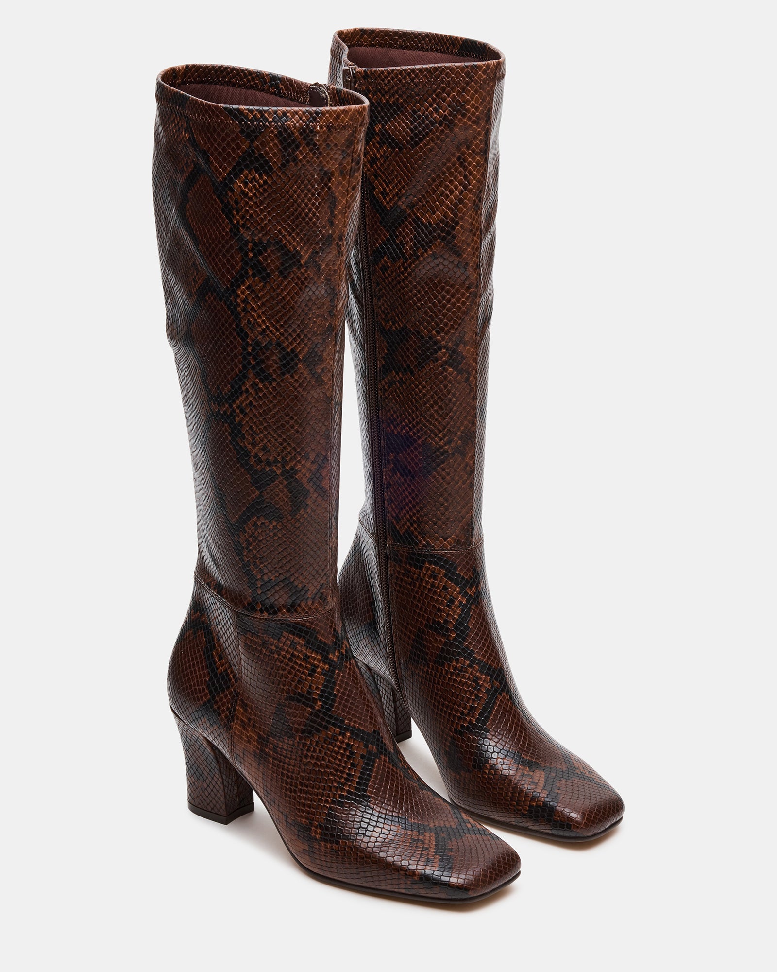 ELLIOT BROWN SNAKE - Image 2