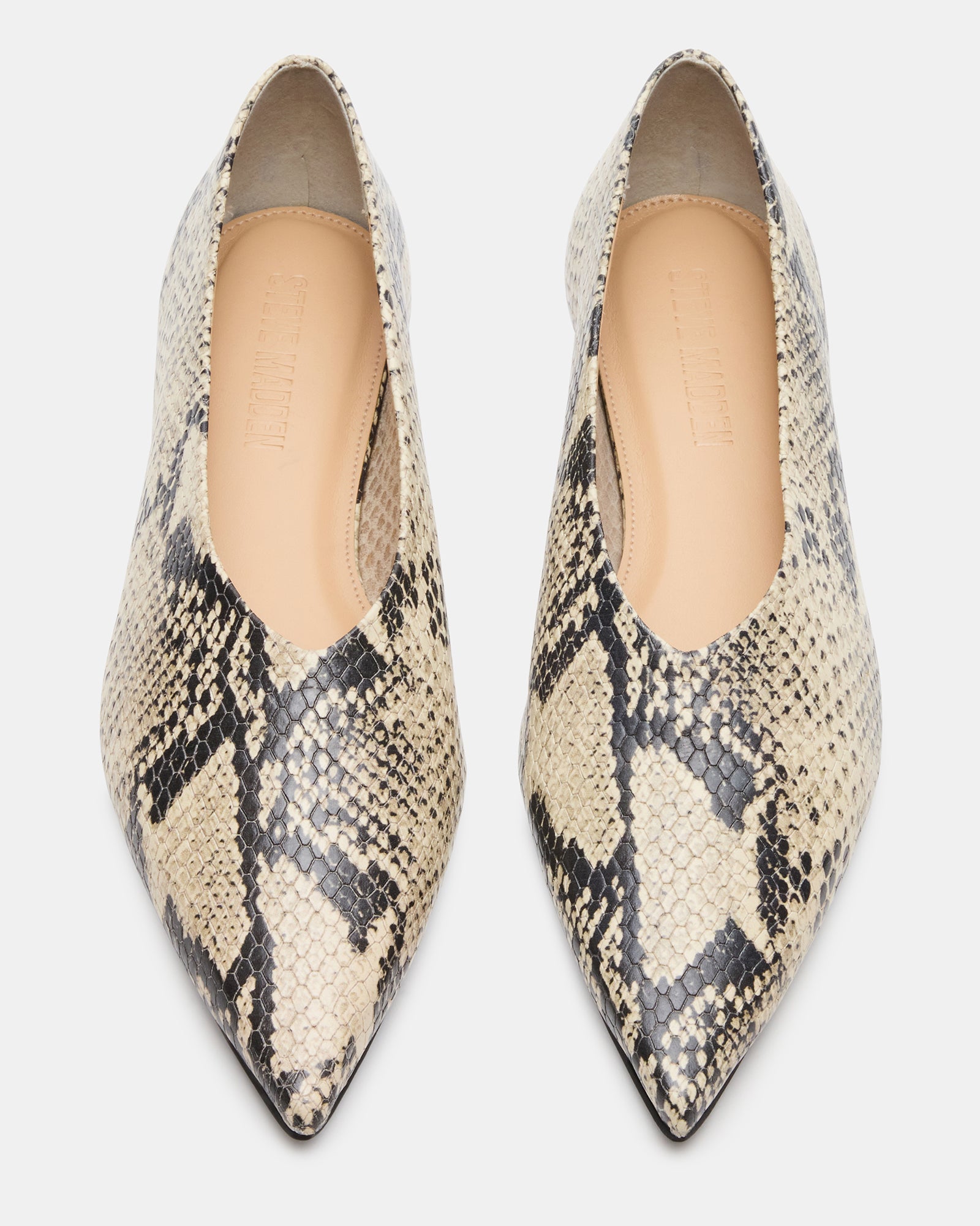 FLOYD SNAKE - Image 4