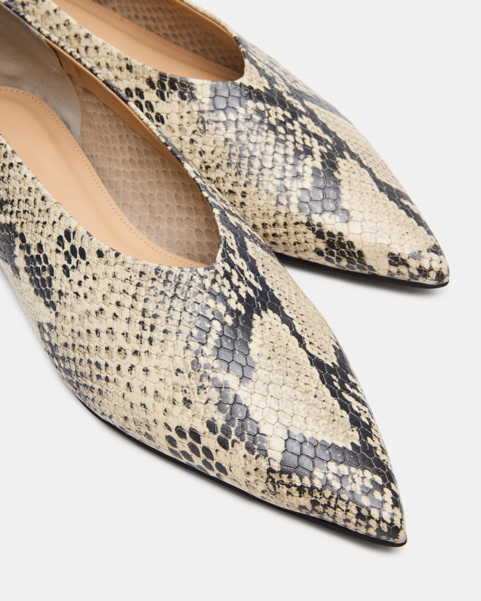 FLOYD SNAKE - Image 3