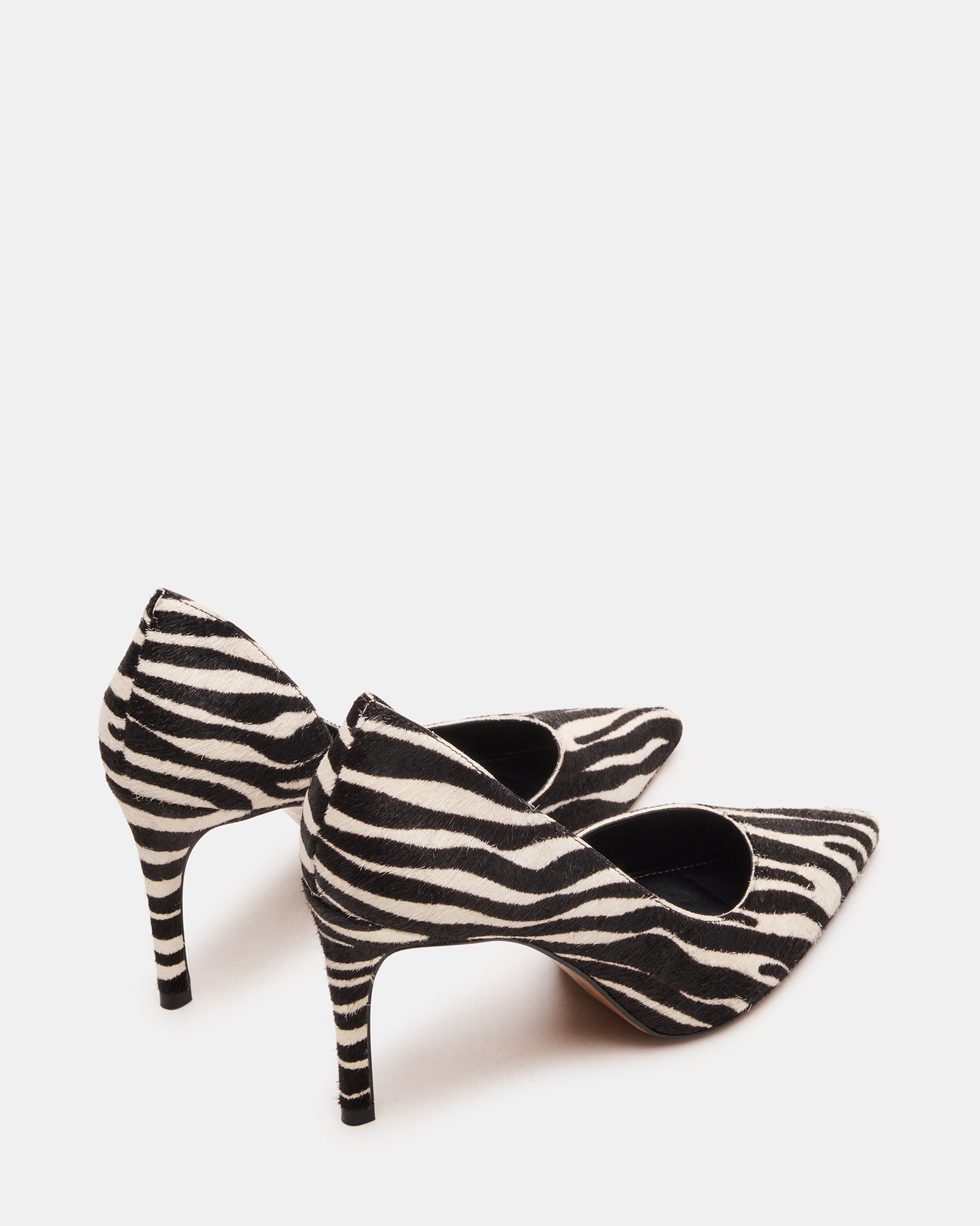 NULA ZEBRA - Image 5