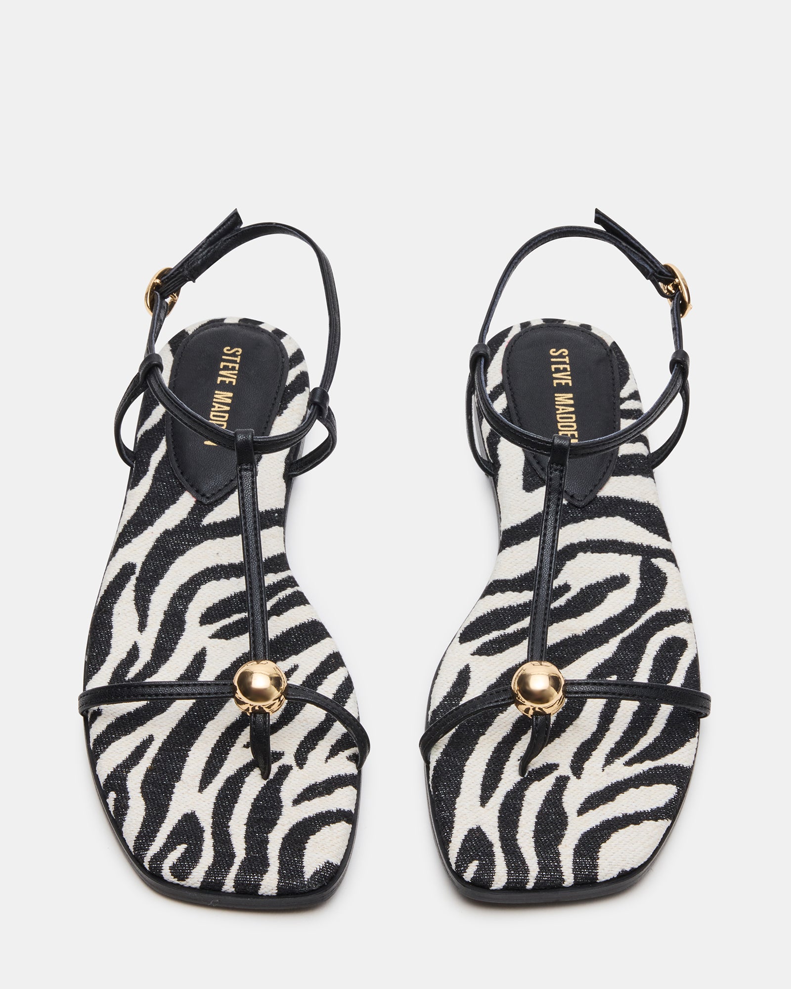 RITZY ZEBRA - Image 4