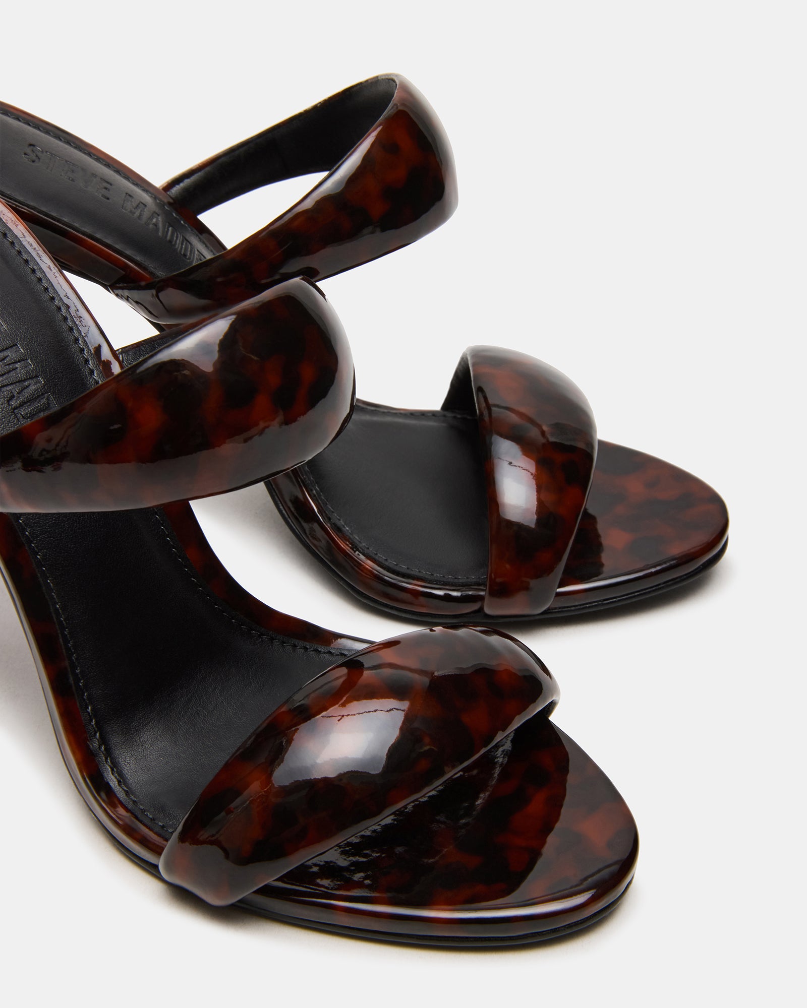 SATURN TORTOISE - Image 3