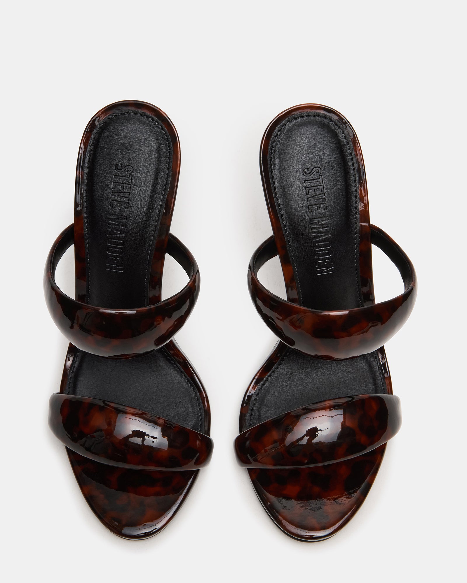 SATURN TORTOISE - Image 4