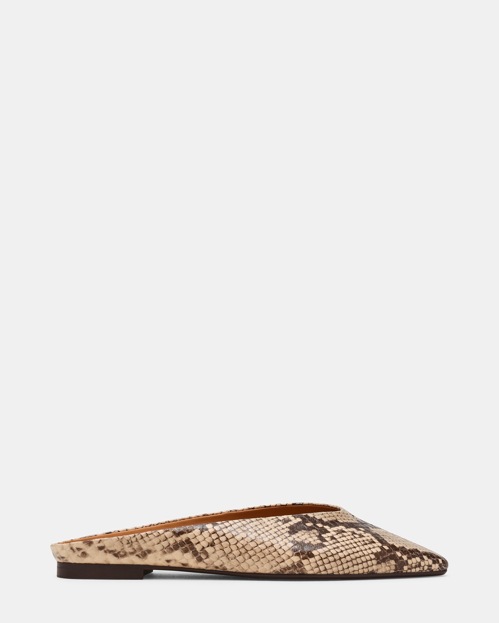 STEVEMADDEN_SHOES44404.jpg
