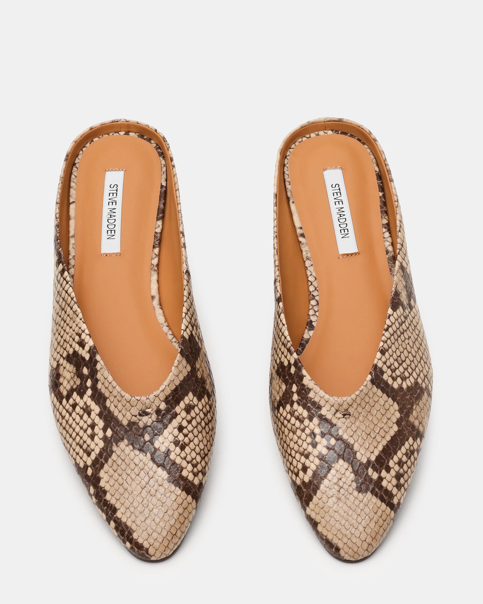 STEVEMADDEN_SHOES44434.jpg