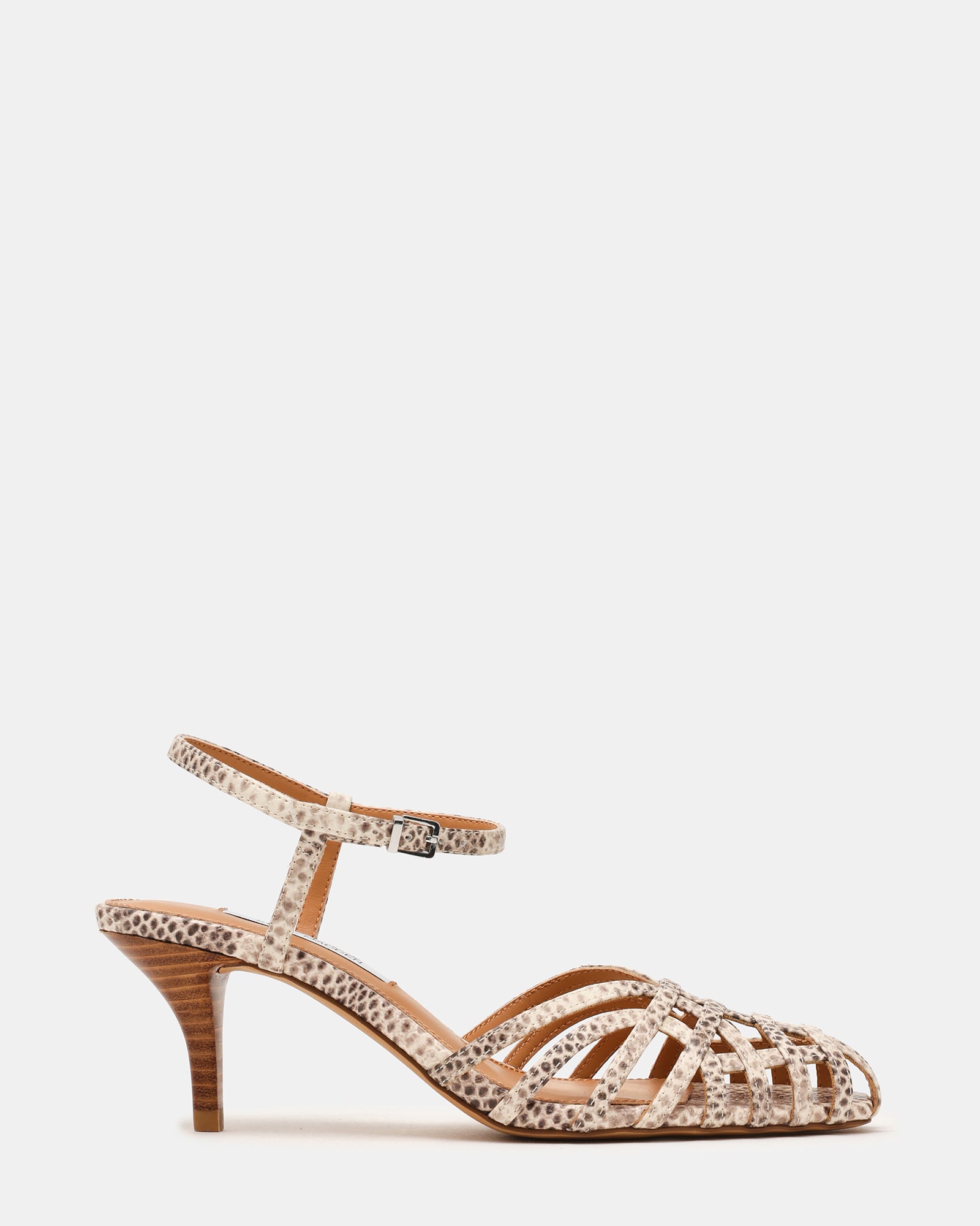 STEVEMADDEN_SHOES_EDIN_SNAKE01.jpg