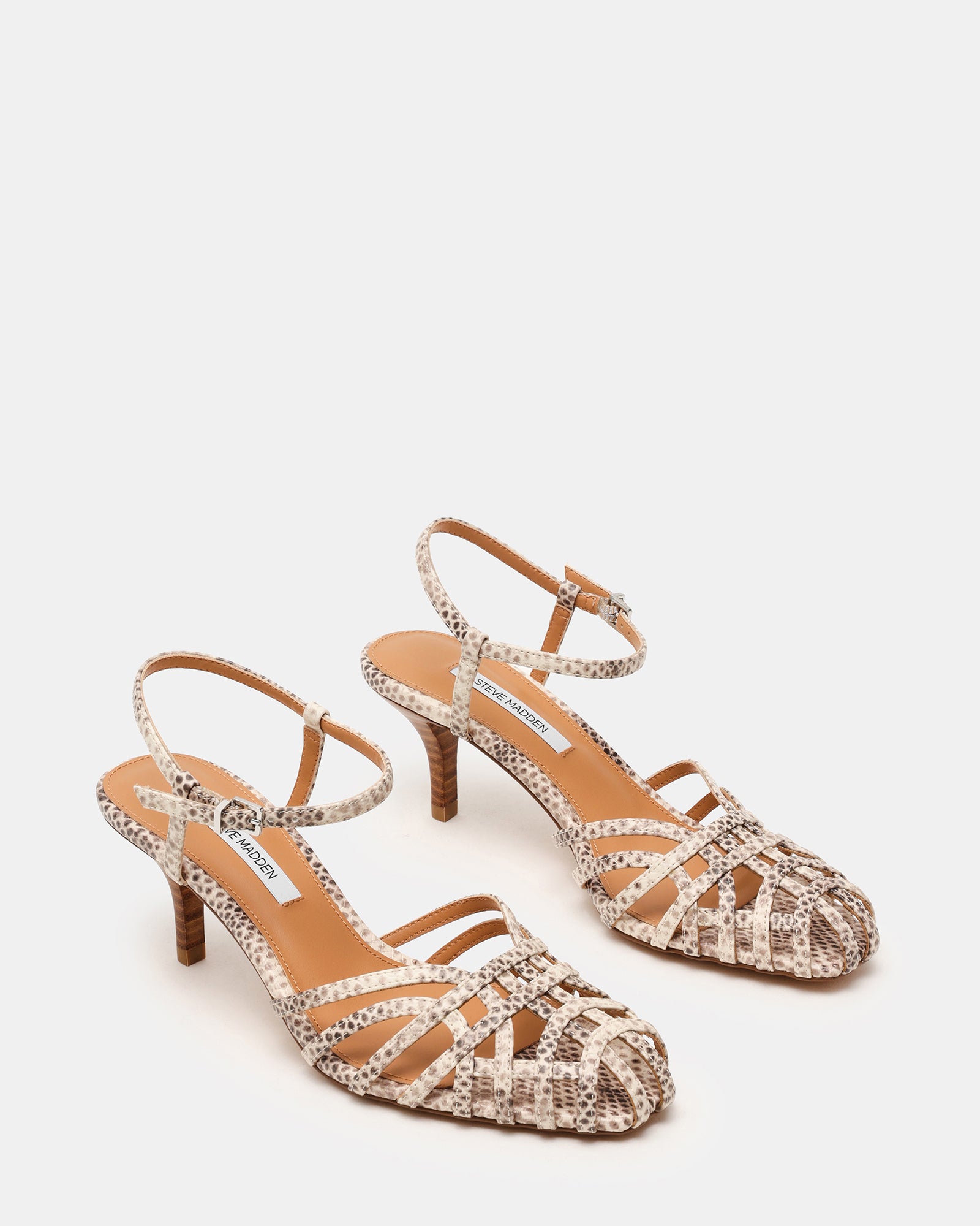 STEVEMADDEN_SHOES_EDIN_SNAKE02.jpg