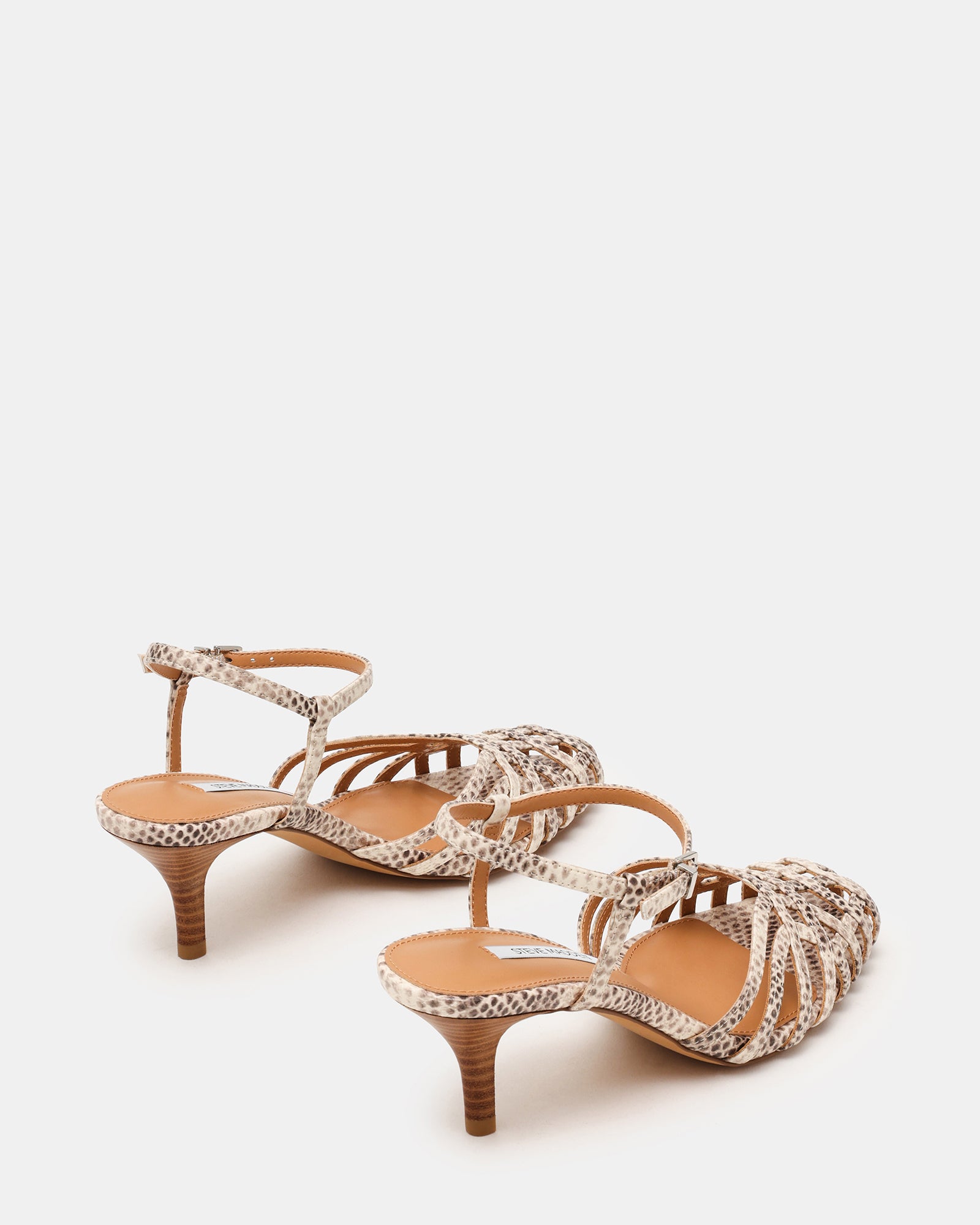 STEVEMADDEN_SHOES_EDIN_SNAKE03.jpg