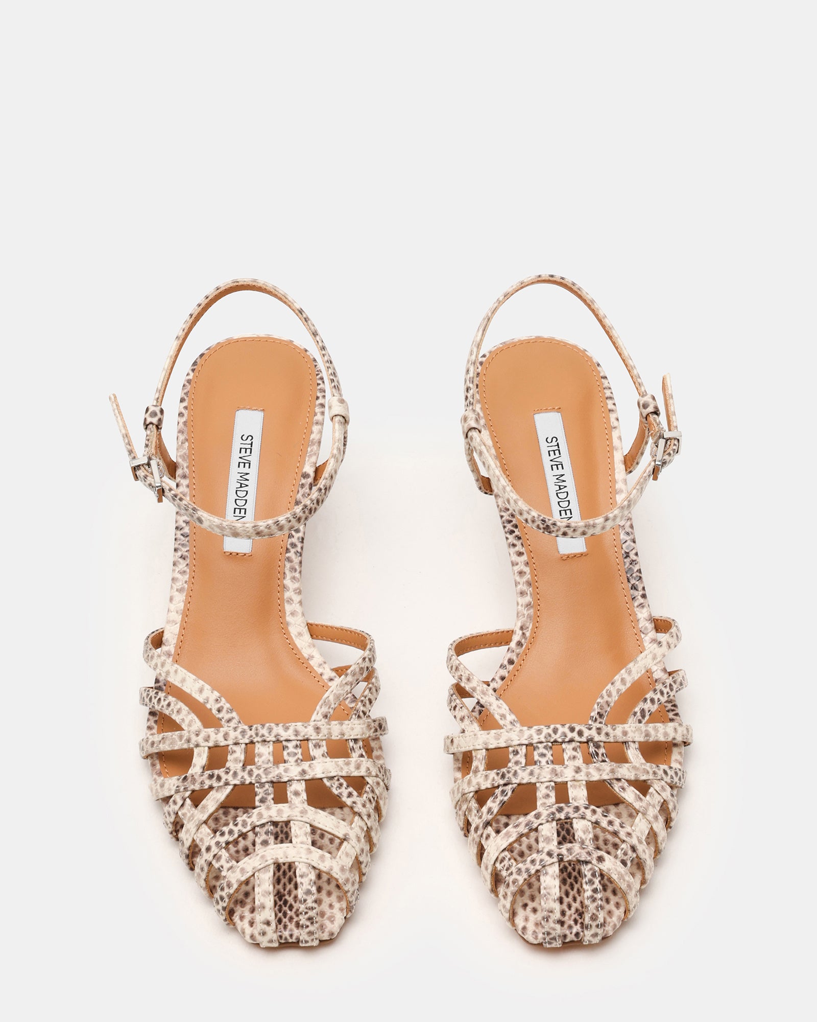 STEVEMADDEN_SHOES_EDIN_SNAKE04.jpg