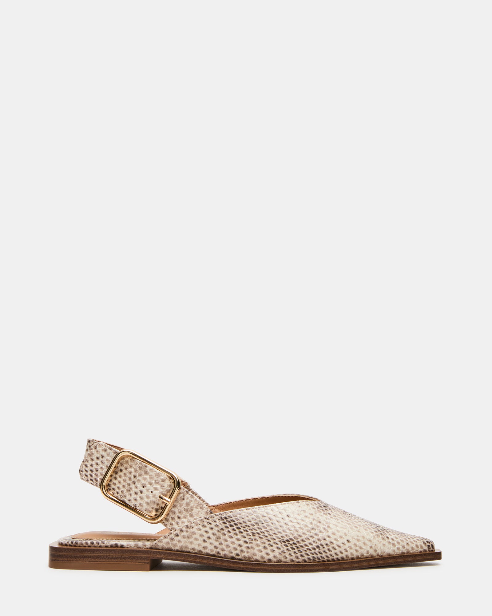 STEVEMADDEN_SHOES_SHAY_SNAKE.jpg