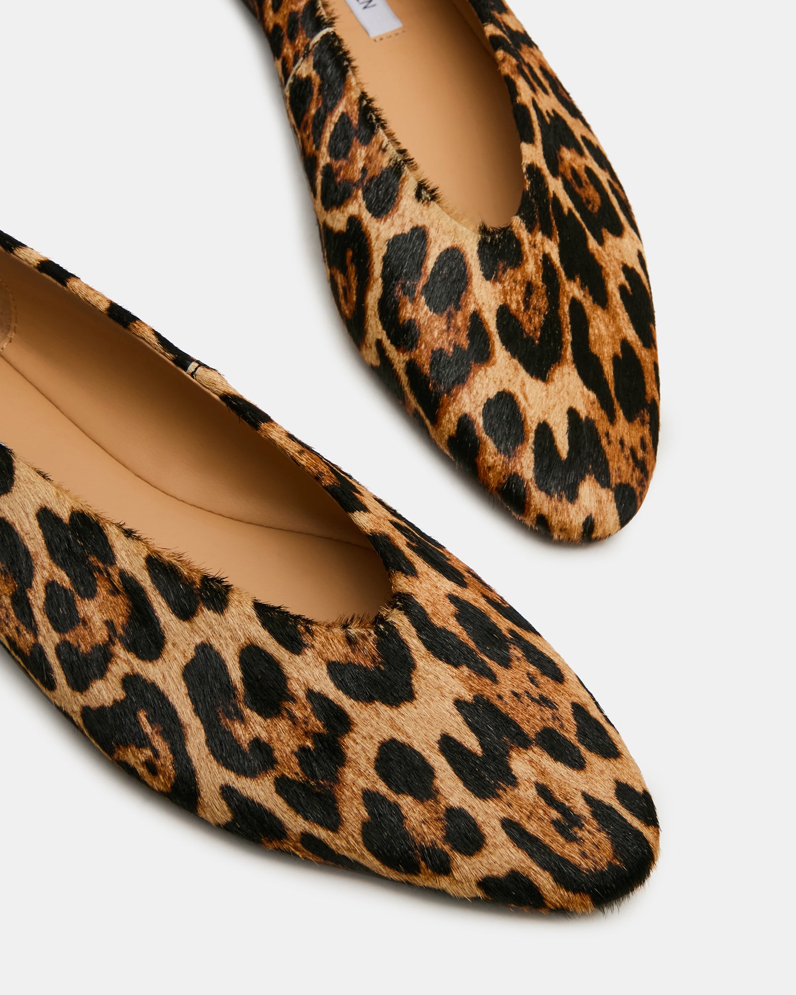 STEVEMADDEN_SHOES_SWANKY-L_LEOPARD_05_7dbe7f11-bfa6-4a15-bad7-f733f9305a77.jpg